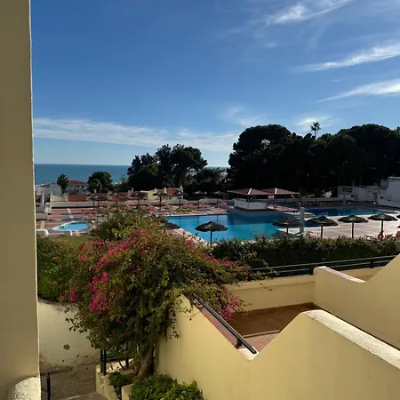 Relaxing In Jardim *