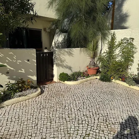 Relaxing In Jardim