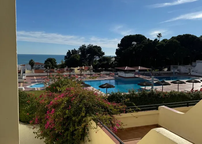 Relaxing In Jardim *