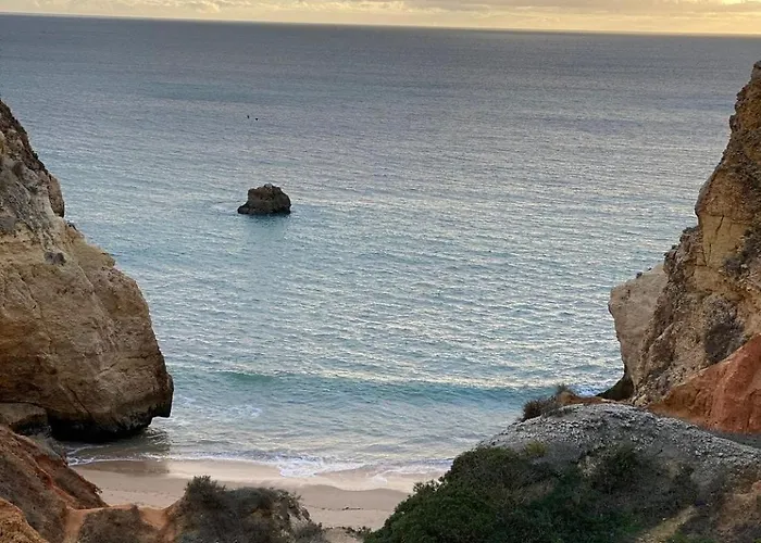 Relaxing In Jardim 阿尔布费拉