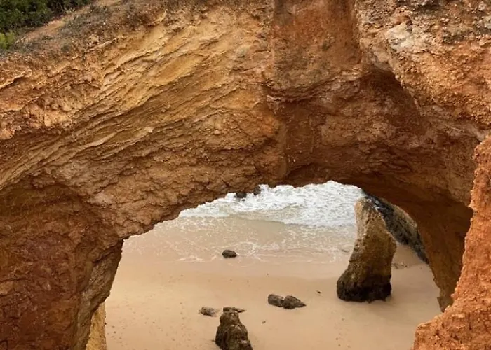 Relaxing In Jardim *